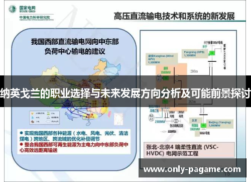纳英戈兰的职业选择与未来发展方向分析及可能前景探讨 纳英戈兰的职业选择与未来发展方向分析及可能前景探讨