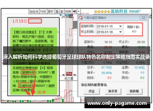 深入解析如何科学选择葡萄牙足球球队特色名称制定策略指南实战录
