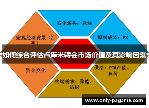 如何综合评估卢库米转会市场价值及其影响因素 如何综合评估卢库米转会市场价值及其影响因素