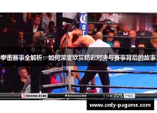 拳击赛事全解析：如何深度欣赏精彩对决与赛事背后的故事
